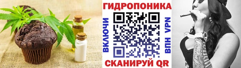 кракен зеркало  Ветлуга  Еда ТГК марихуана  хочу наркоту 