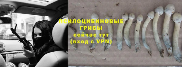 трава Заволжск