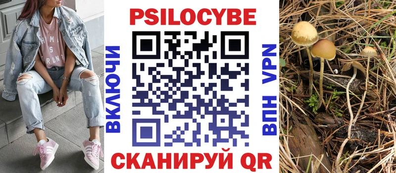 omg tor  Ветлуга  Галлюциногенные грибы прущие грибы  закладки 